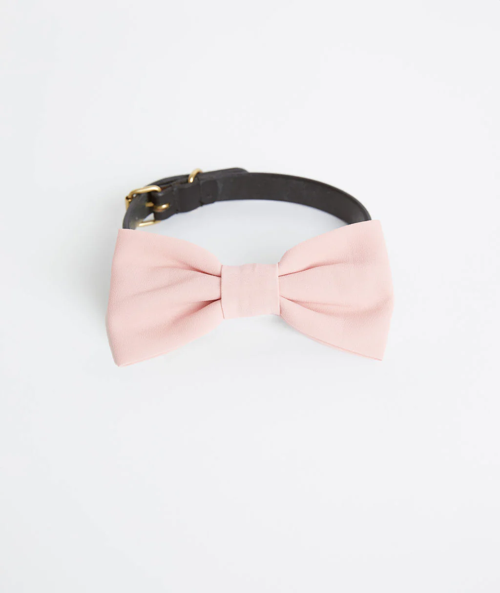 Dog Crepe Bow Tie - Image 3